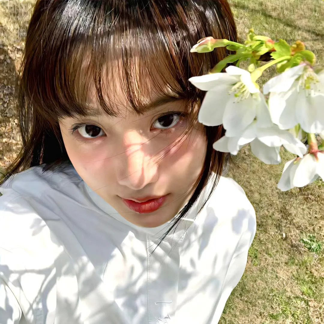 莎拉的钥匙/心锁